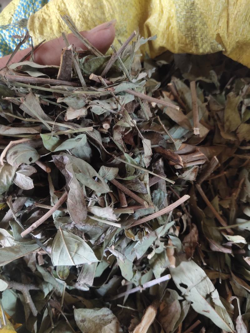 饿蚂蝗小槐花