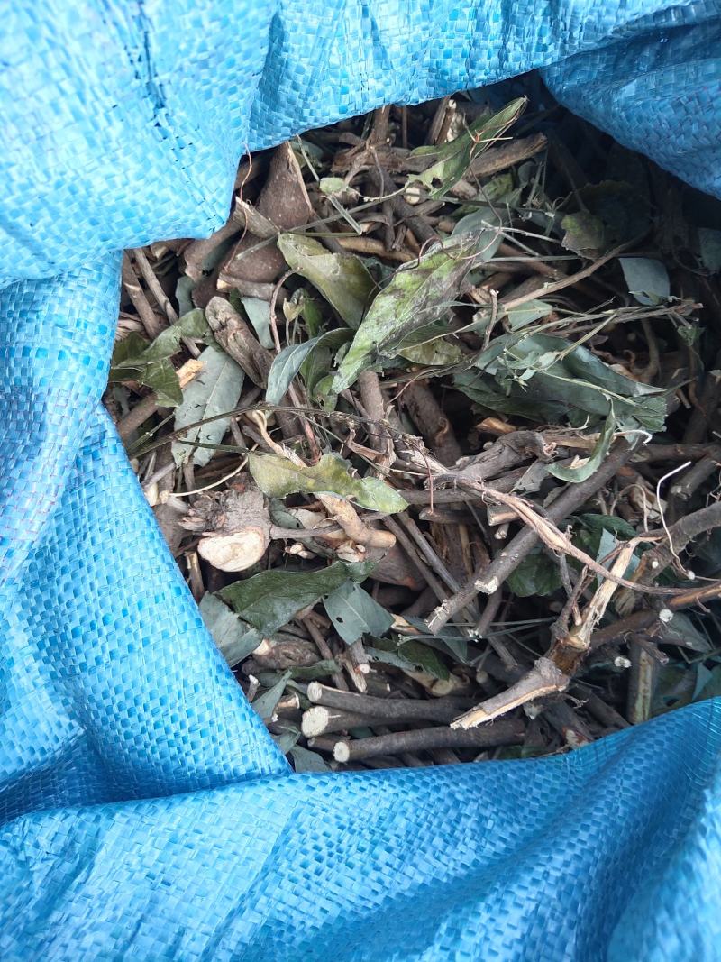 饿蚂蝗小槐花