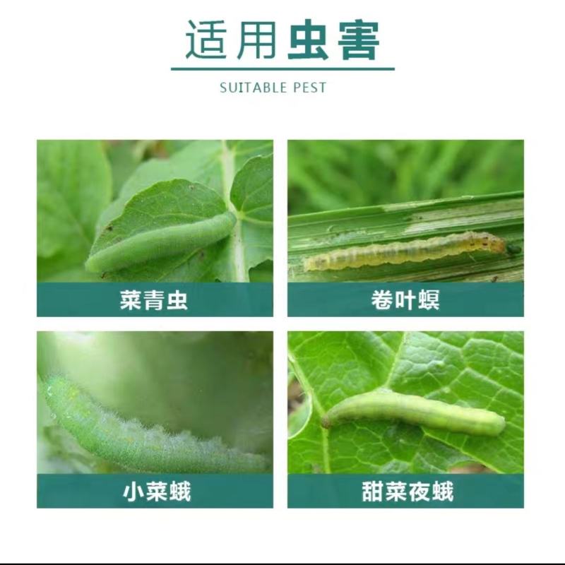 佳多灯杀虫单甲维杀虫单稻纵卷叶螟玉米螟