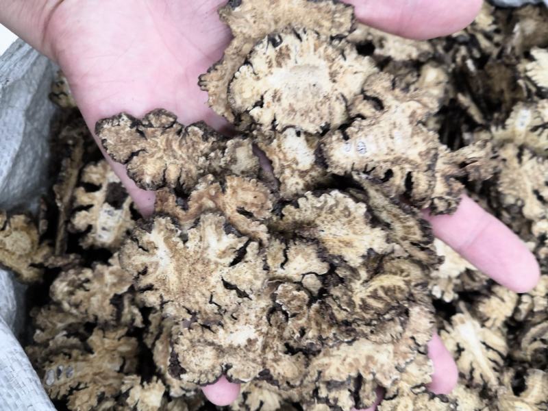 无硫川芎川芎片新货中药材批发零售