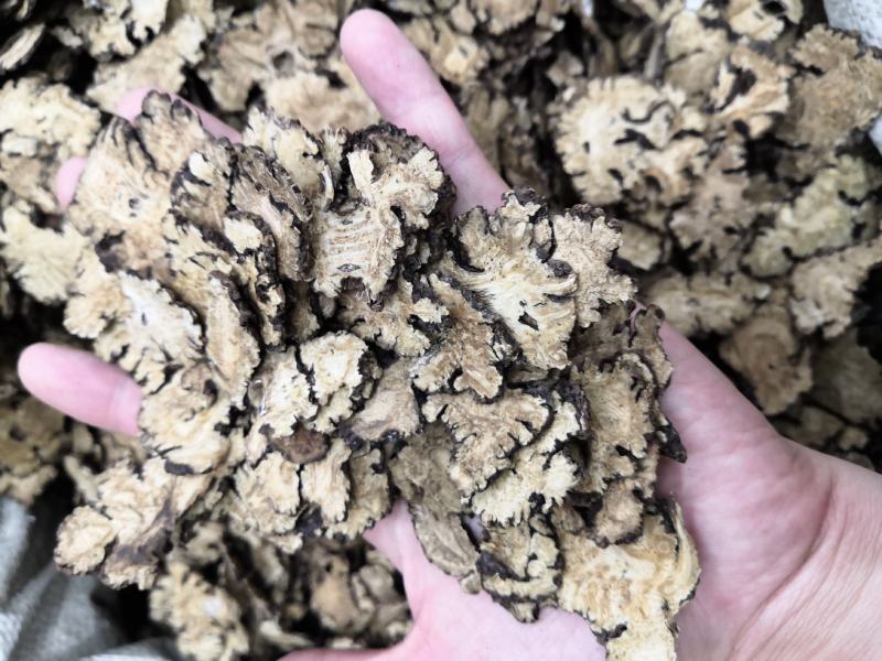 无硫川芎川芎片新货中药材批发零售