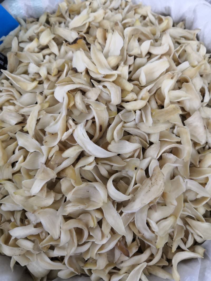无硫白鲜皮新货白鲜皮中药材批发零售