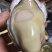 广东发货山东乳山生蚝.三倍体牡蛎厂家中转
