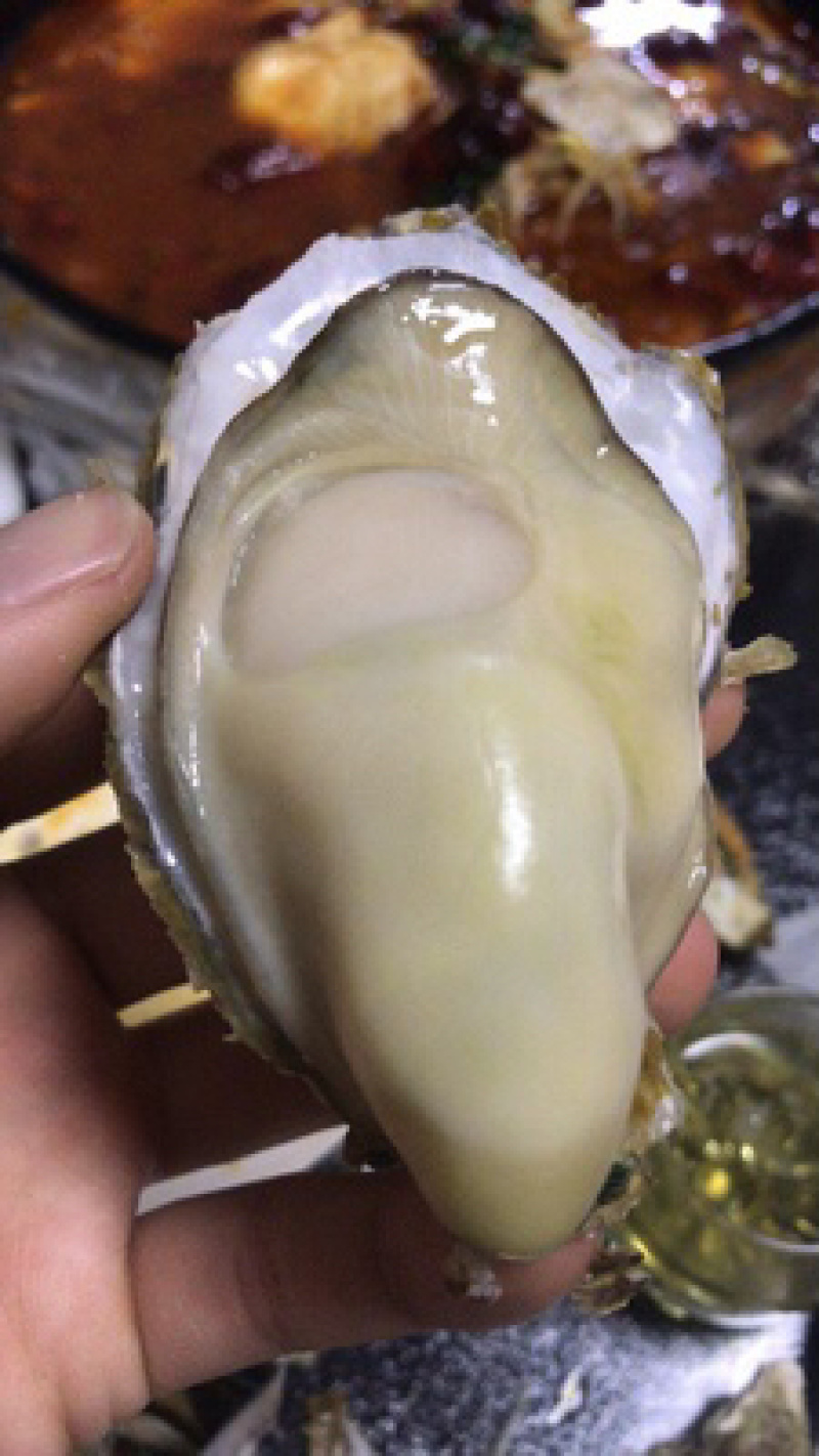 广东发货山东乳山生蚝.三倍体牡蛎厂家中转
