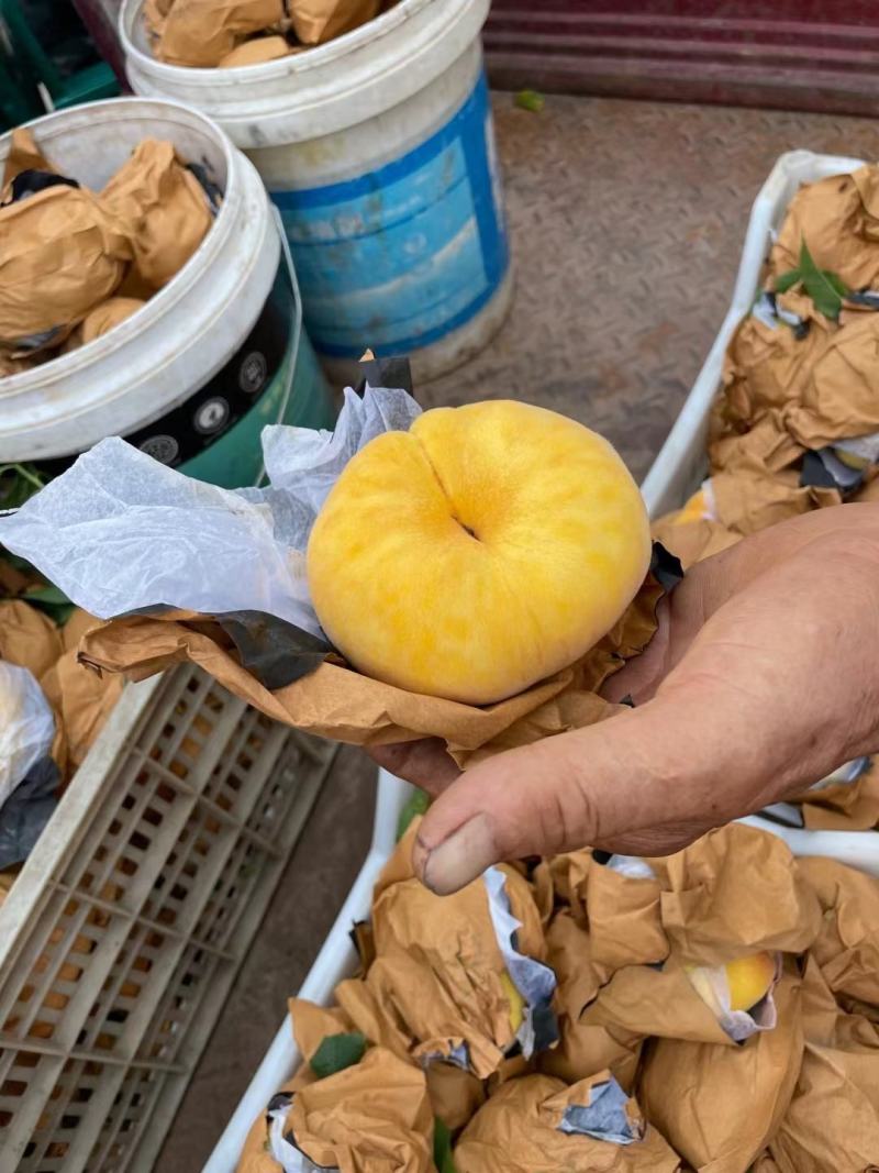 沂源县精品黄矩油，精品质量，产地直发，桃园直采。