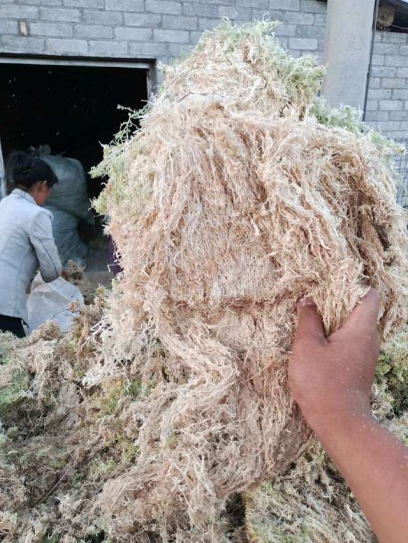水苔大量销售