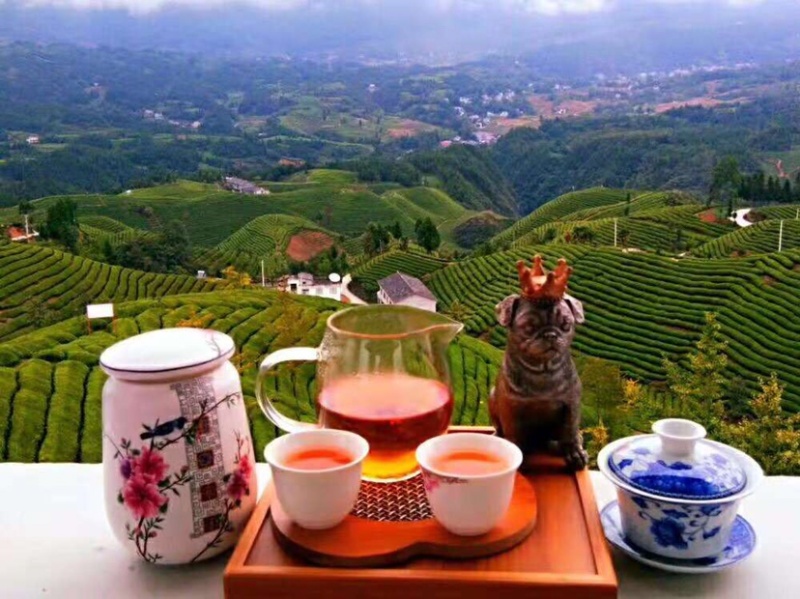 茶农直销，原产地现货一件代发