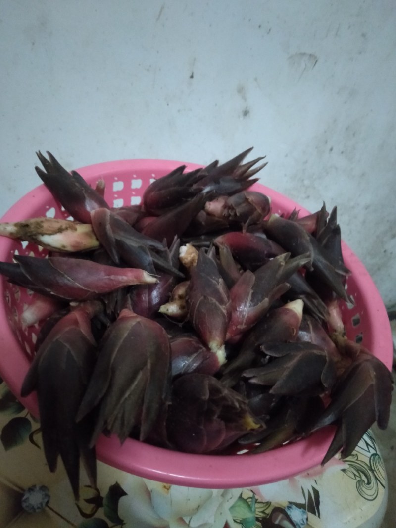 洋荷