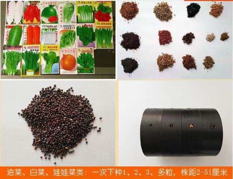 厂家销售蔬菜播种机，小粒种子播种机，免间苗种菜机