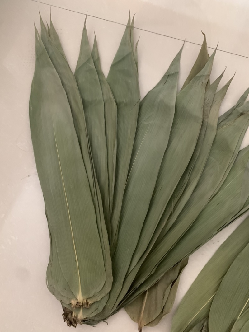 粽叶通货
