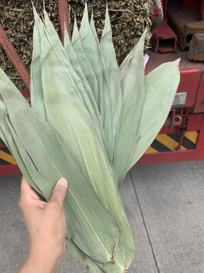 粽叶通货