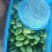香水柠檬川贝陈皮柠檬膏川贝陈皮柠檬纯手工制作无添加剂