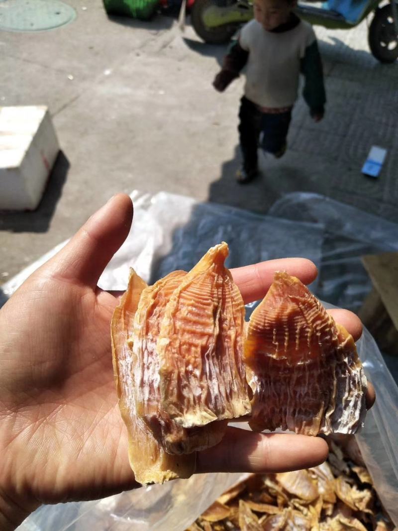 黄山笋尖