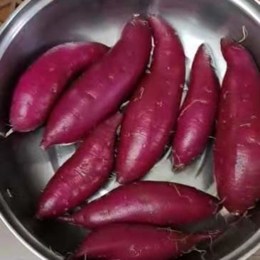 紫薯