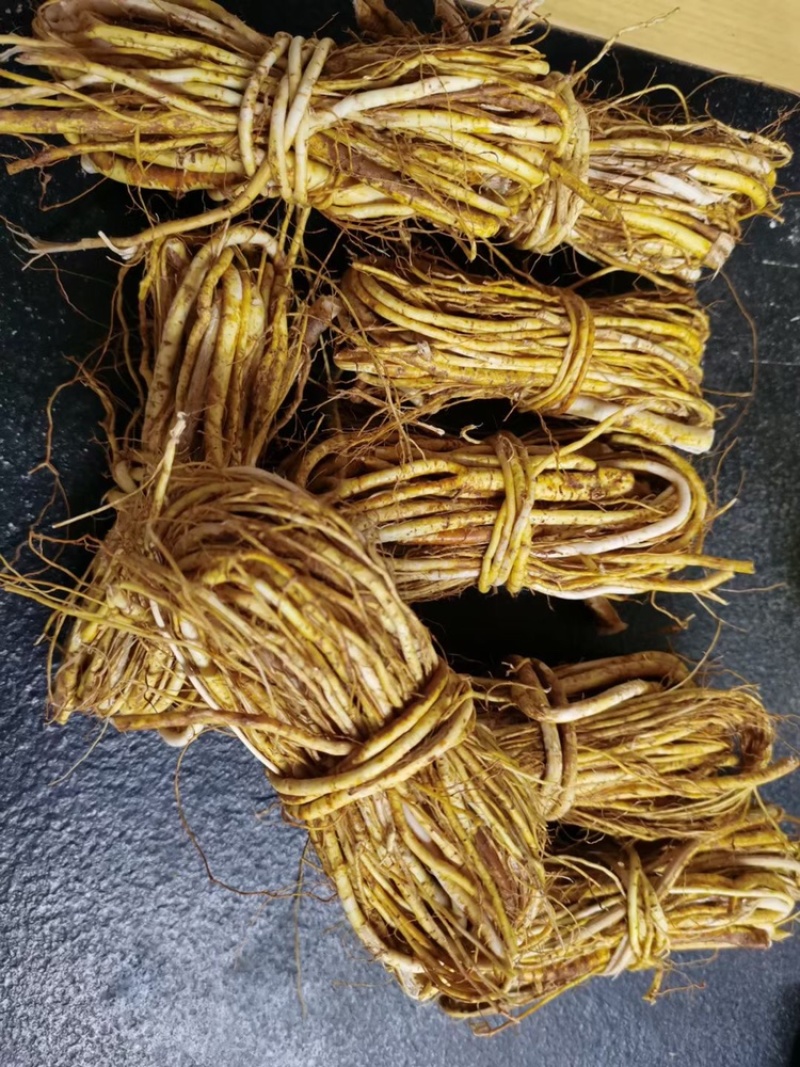 新鲜五指毛桃小扎把