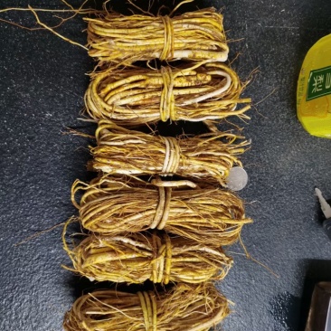 新鲜五指毛桃小扎把