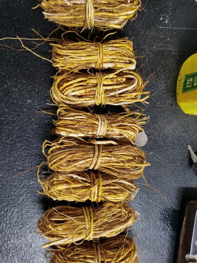 新鲜五指毛桃小扎把