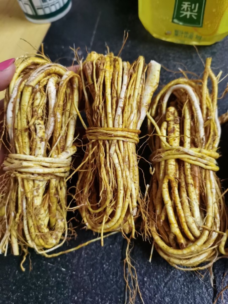 新鲜五指毛桃小扎把