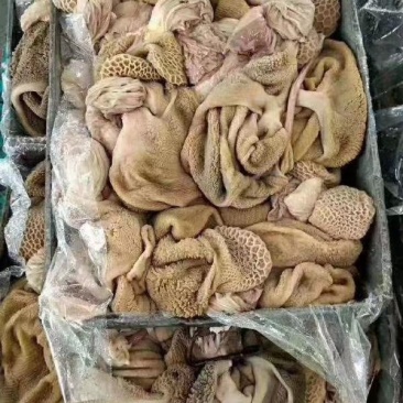草原羔羊羊肚(有黄净肚，有混装)