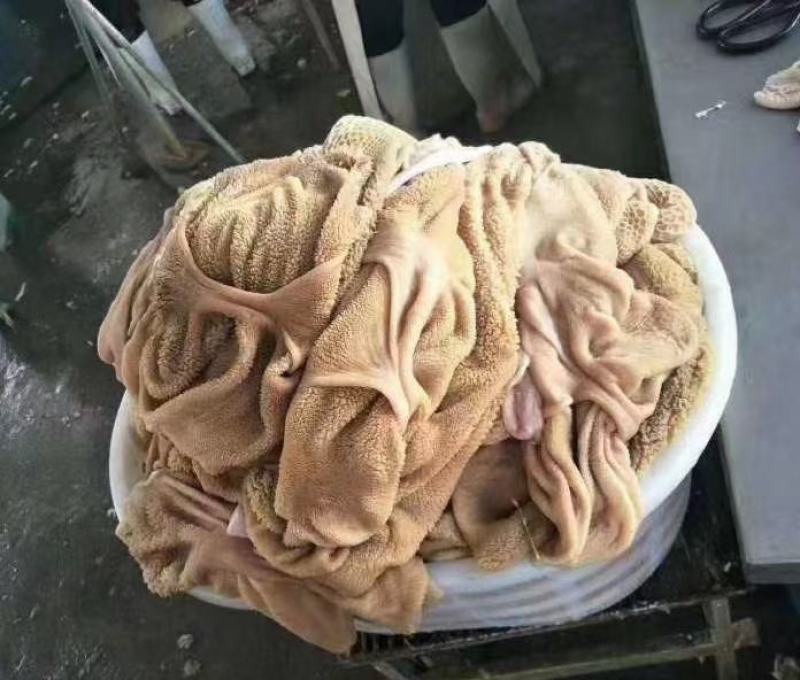 草原羔羊羊肚(有黄净肚，有混装)
