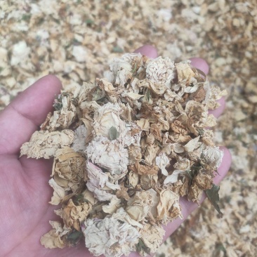 白残花干货冷背药材专营干净无杂质量大从优