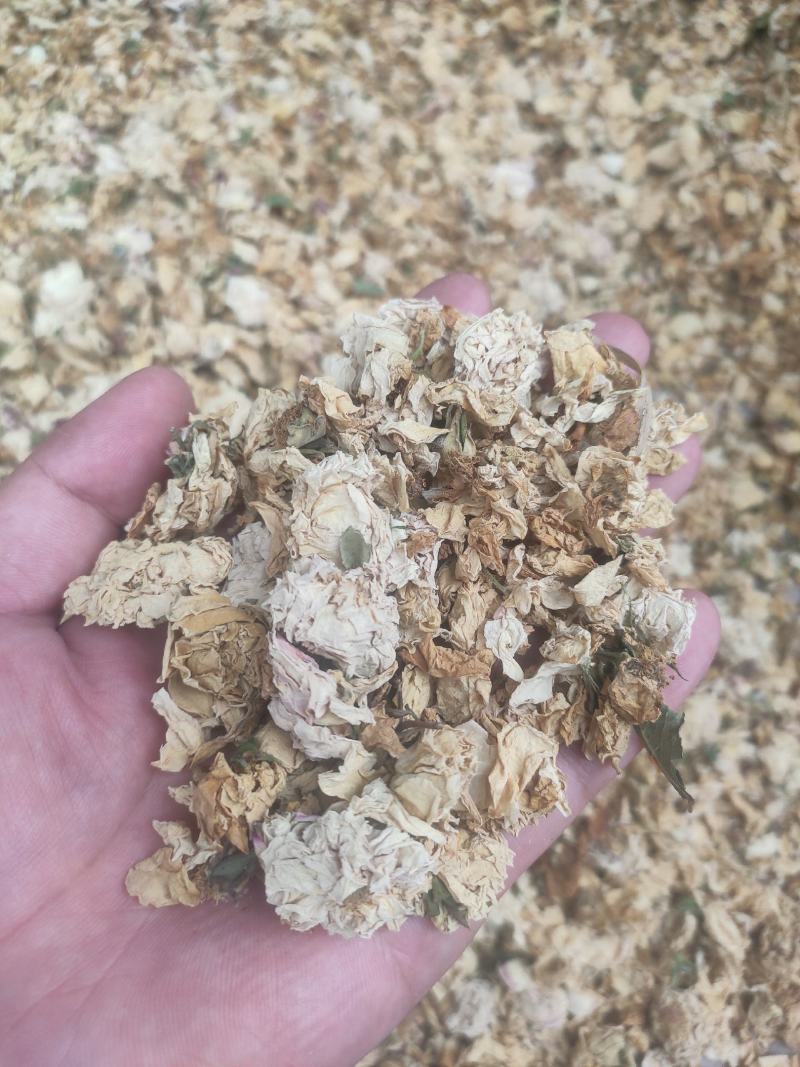 白残花干货冷背药材专营干净无杂质量大从优
