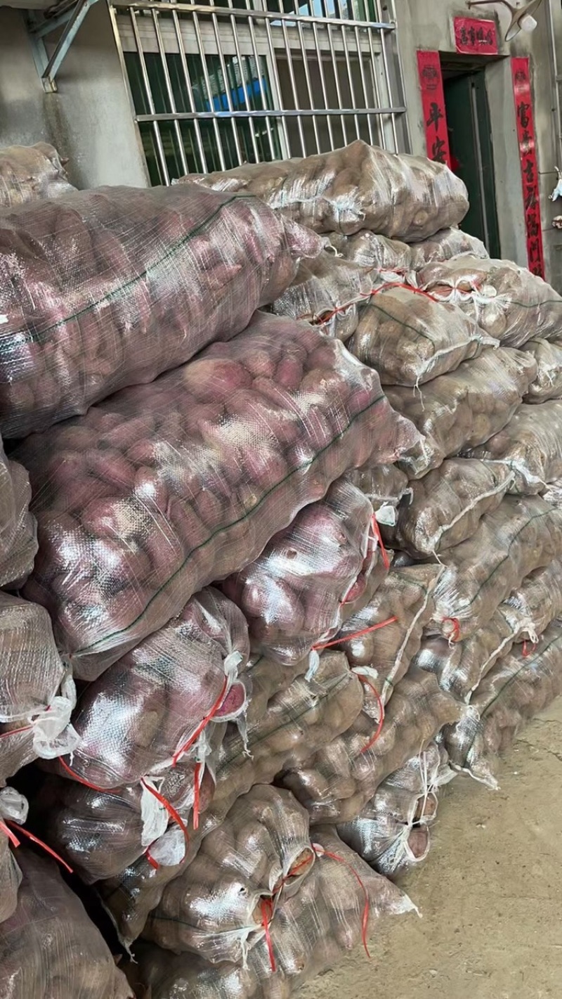紫罗兰湖北红薯紫薯大量上市中支持一件代发一手货源
