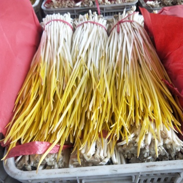 优质蒜黄基地直供