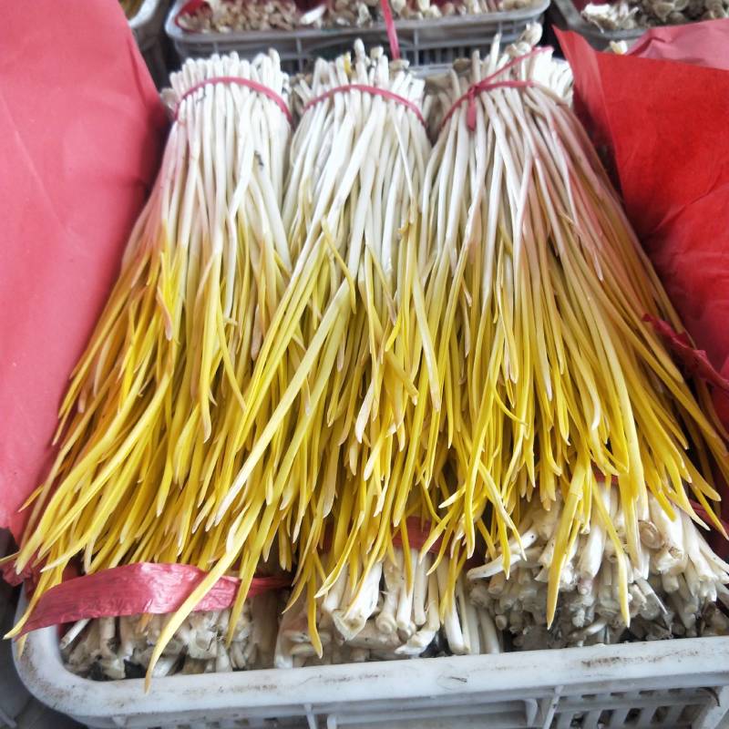 优质蒜黄基地直供
