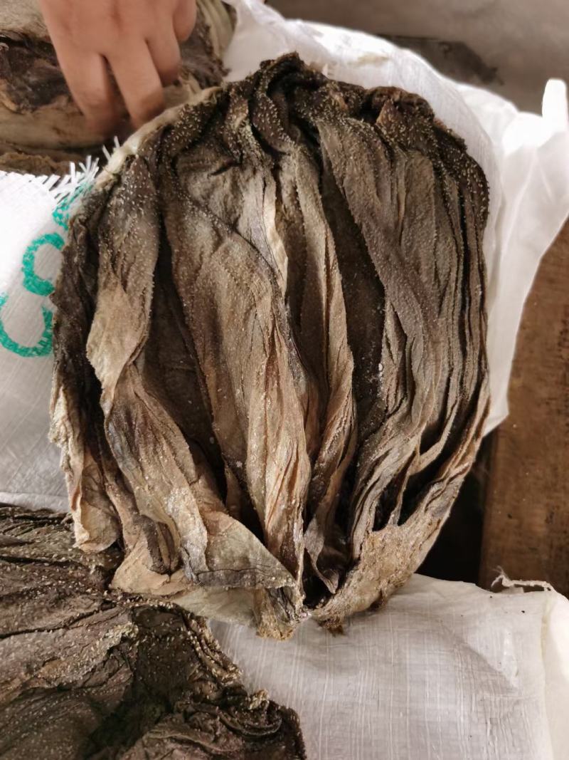 【精选】牛毛肚盐干牛毛肚品质好出成率高可发样品