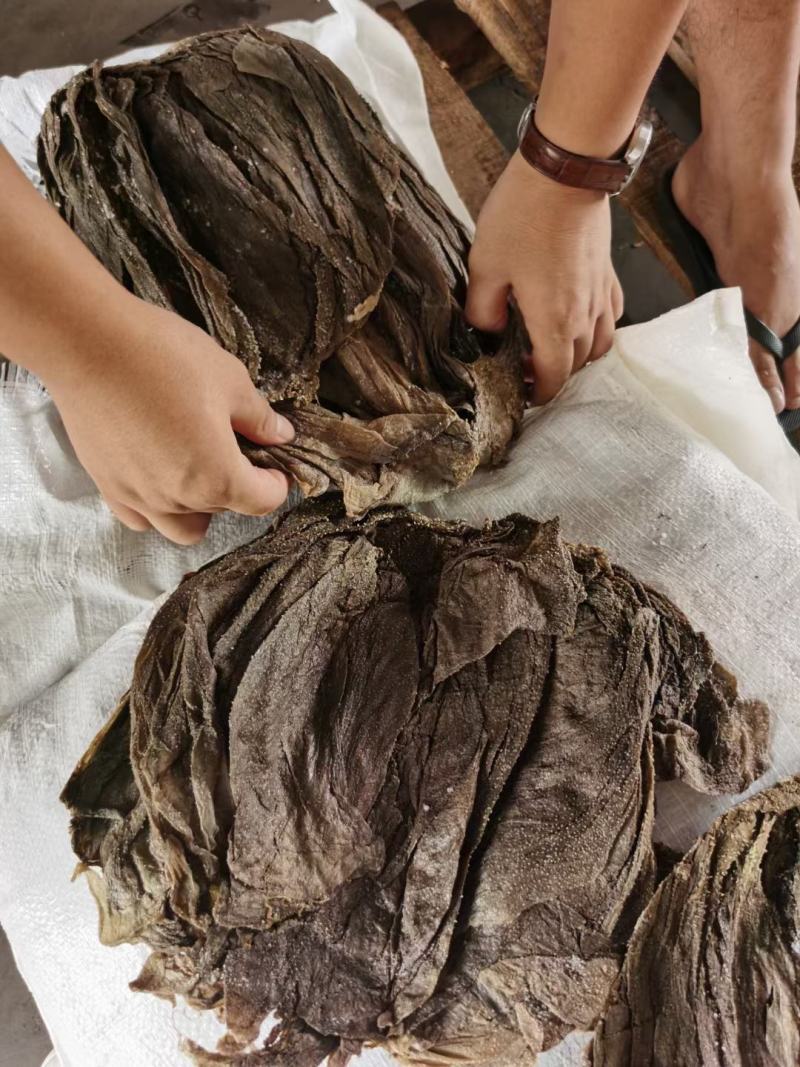 【精选】牛毛肚盐干牛毛肚品质好出成率高可发样品