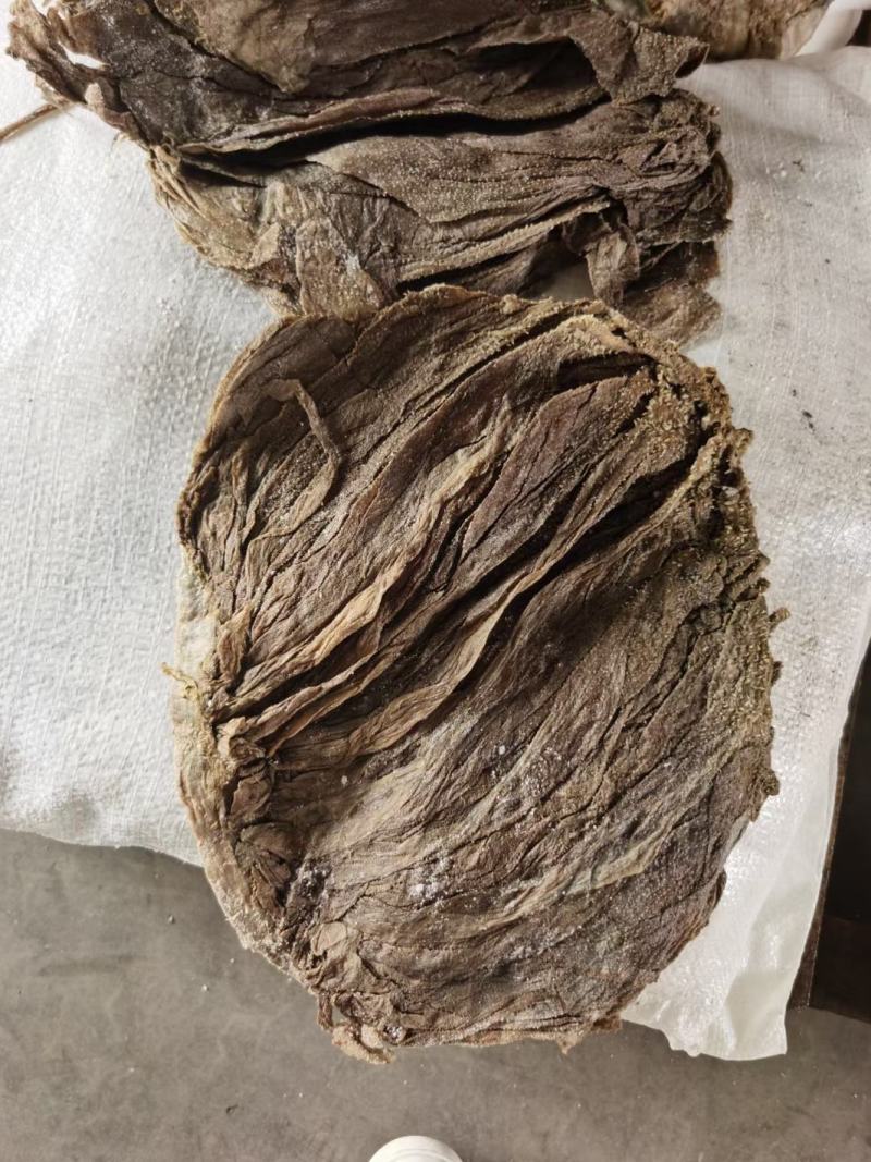 【精选】牛毛肚盐干牛毛肚品质好出成率高可发样品