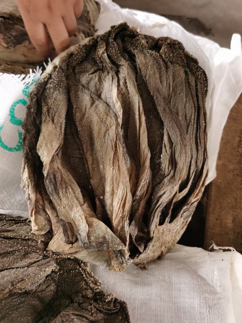 【精选】牛毛肚盐干牛毛肚品质好出成率高可发样品