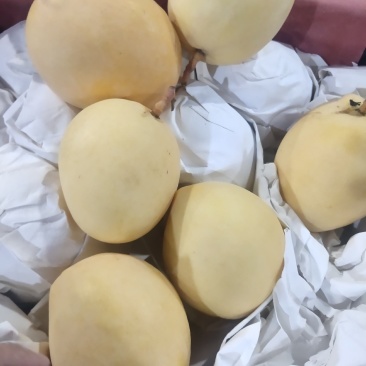 【高碑店新发地-乐航商贸】热龙芒果