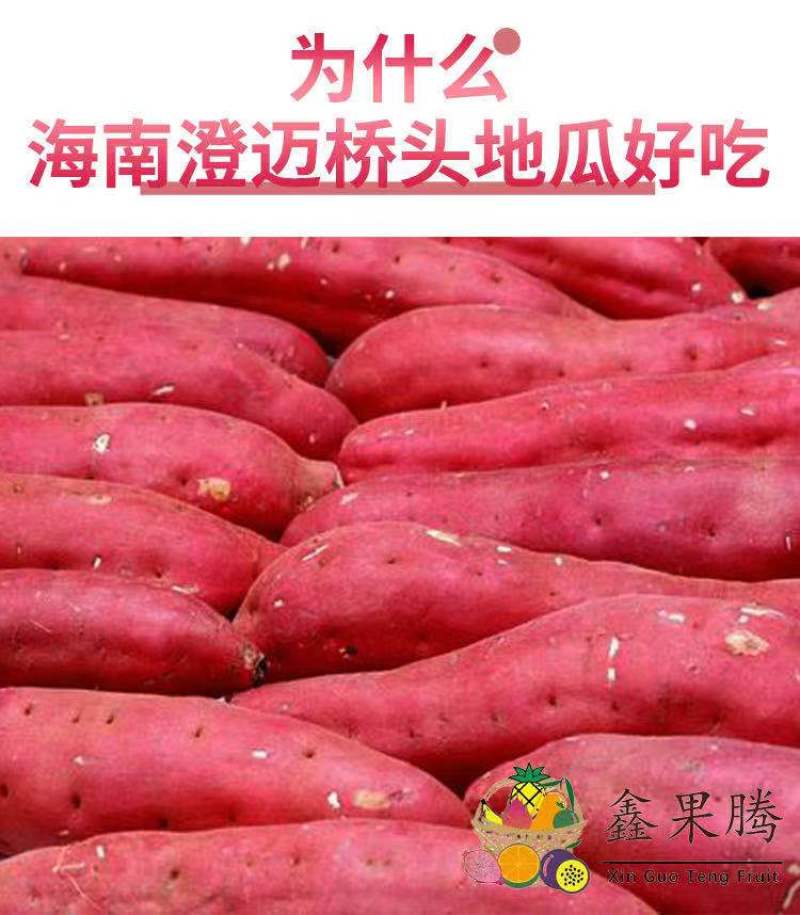 自家瓜地