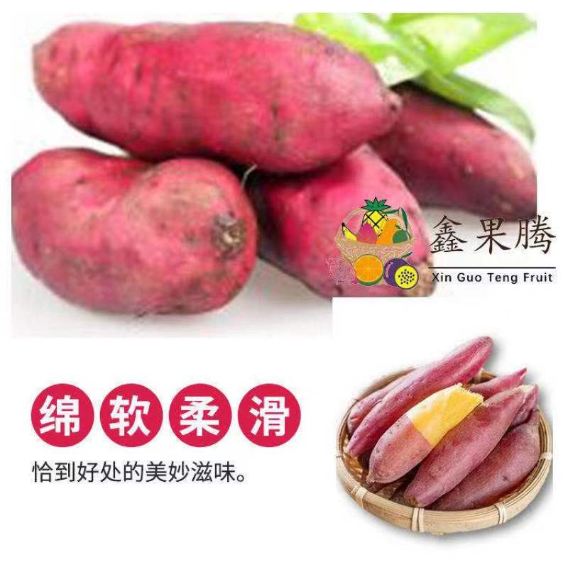 自家瓜地