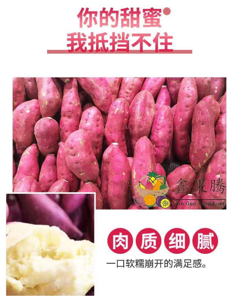自家瓜地