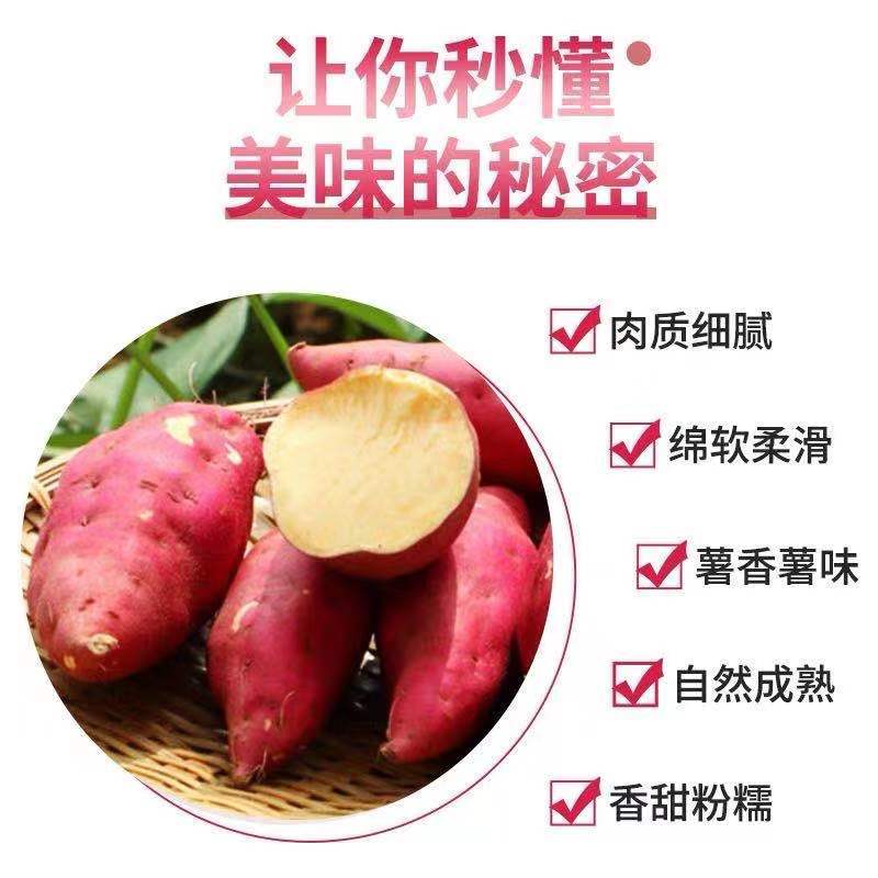 自家瓜地