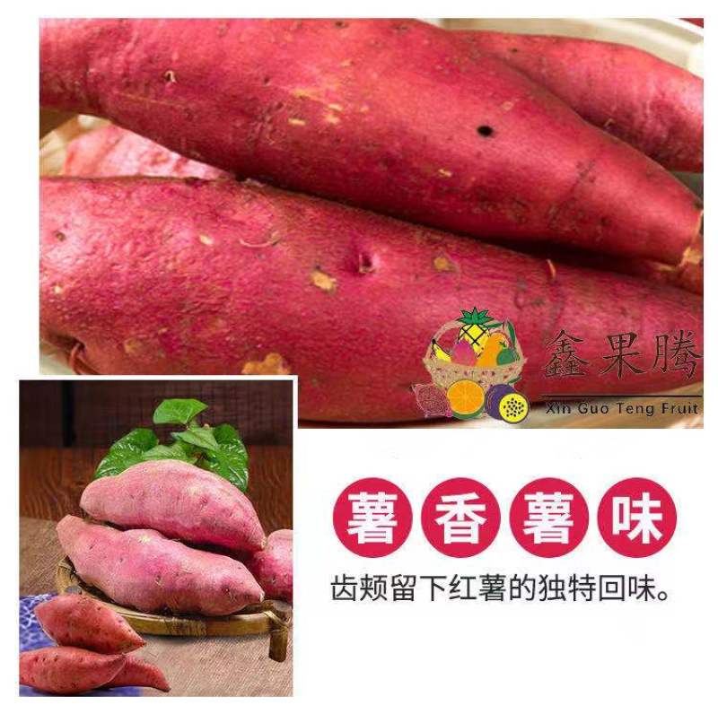 自家瓜地