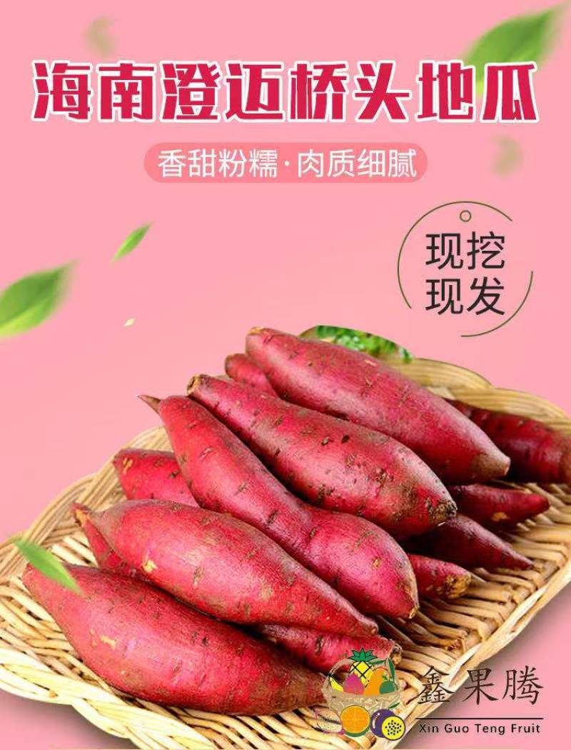 自家瓜地