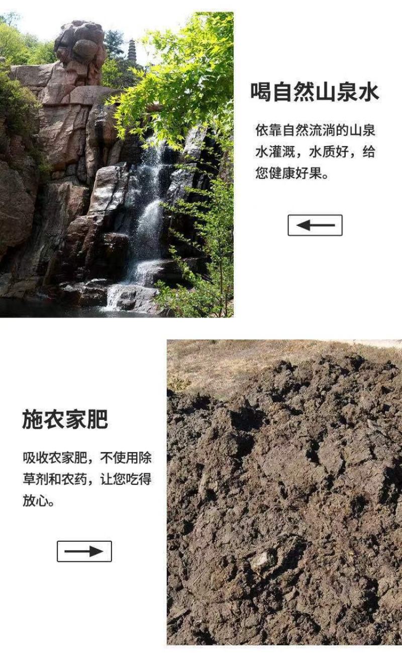 自家瓜地