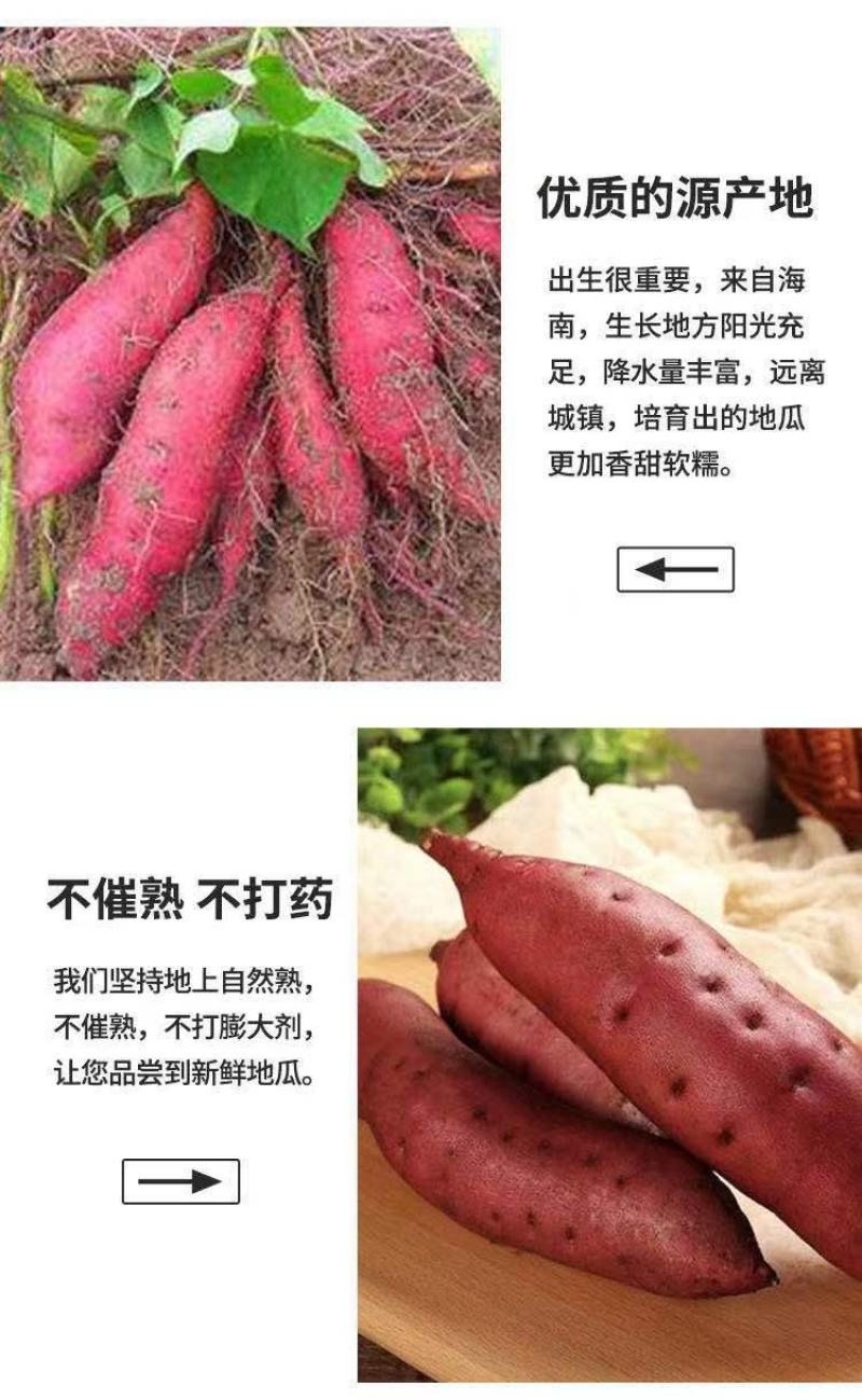 自家瓜地