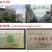 荸荠种苗荔浦马蹄桂蹄二三号组培苗一、二代苗