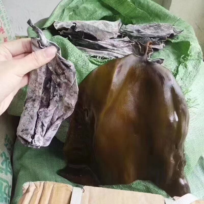 盐渍海带头，半干海带头，全干海带头，跑江湖地摊，现货