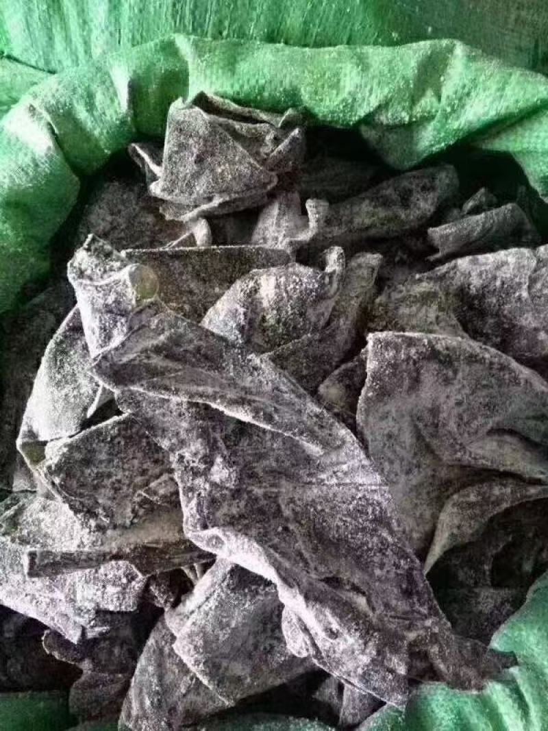 盐渍海带头，半干海带头，全干海带头，跑江湖地摊，现货