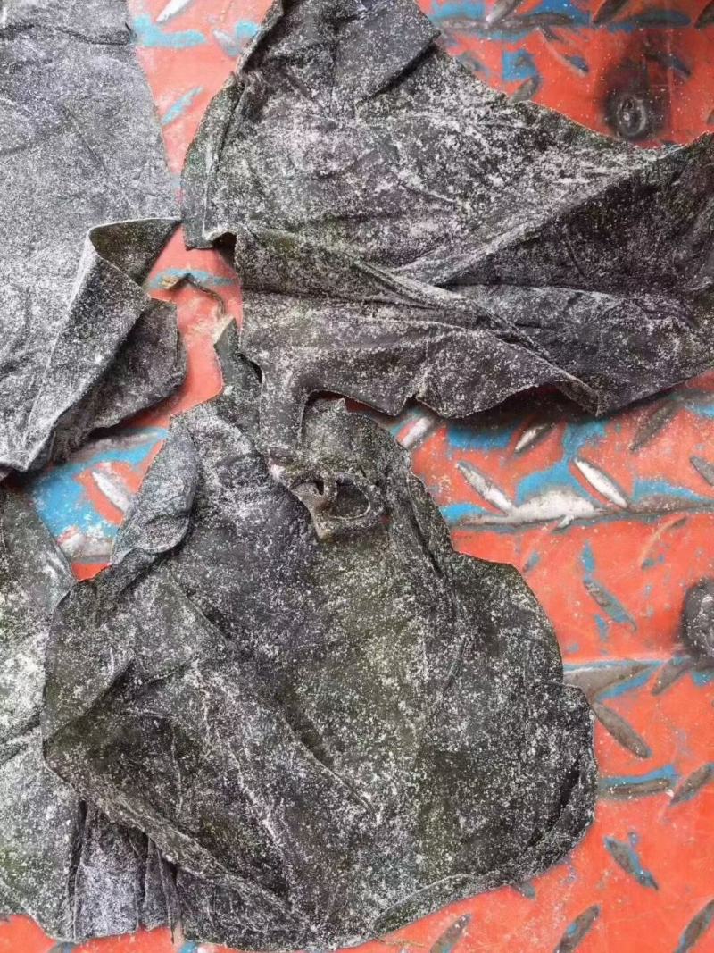 盐渍海带头，半干海带头，全干海带头，跑江湖地摊，现货