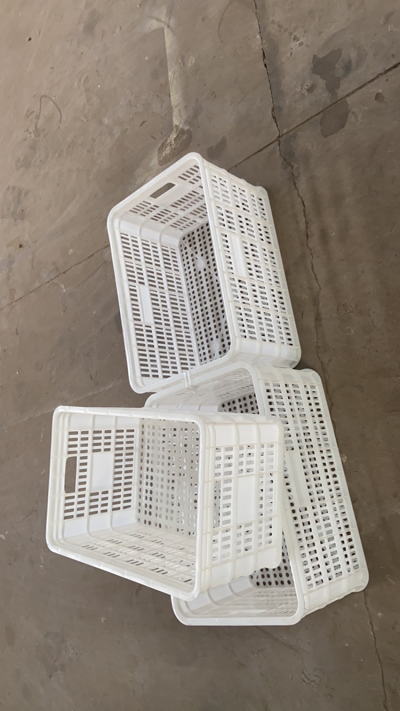 厂家供应纯原料，熟料蔬菜筐，价格实惠质量有保证