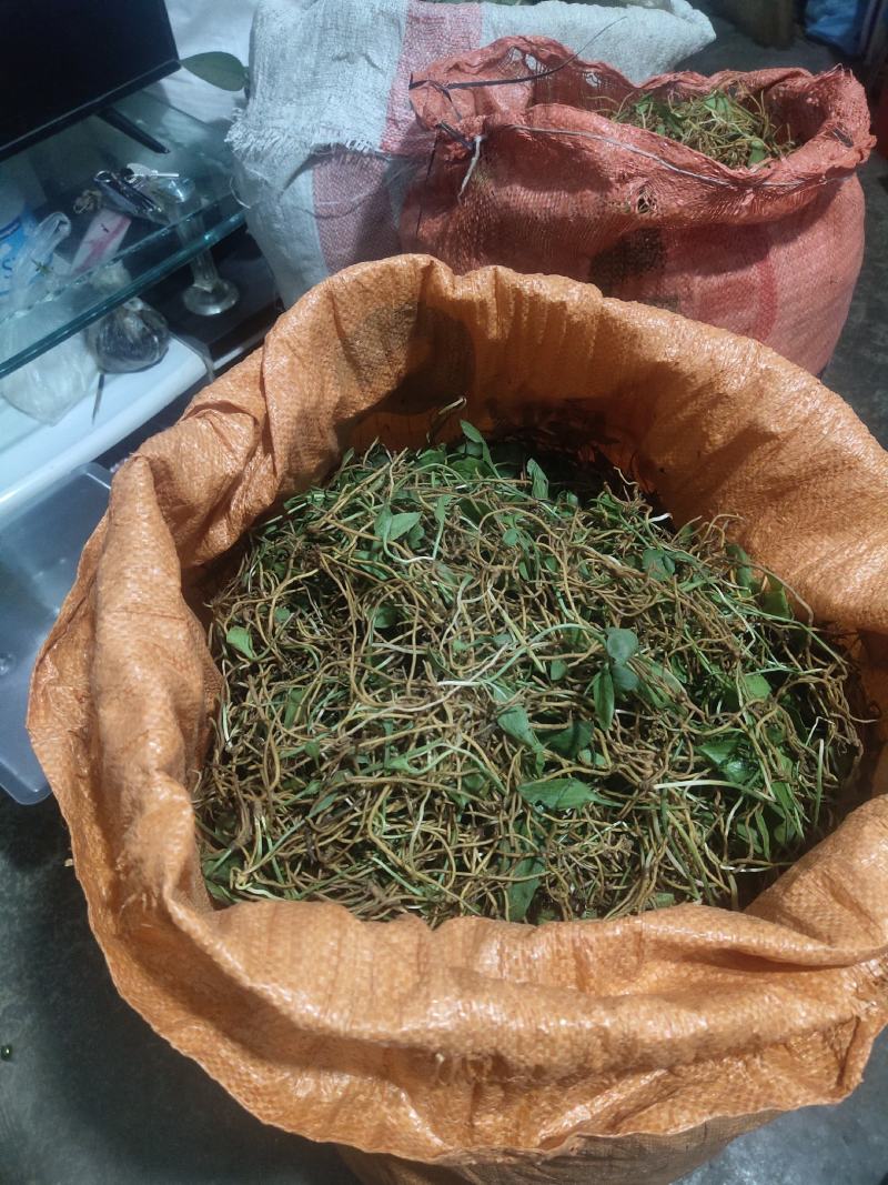 一支箭