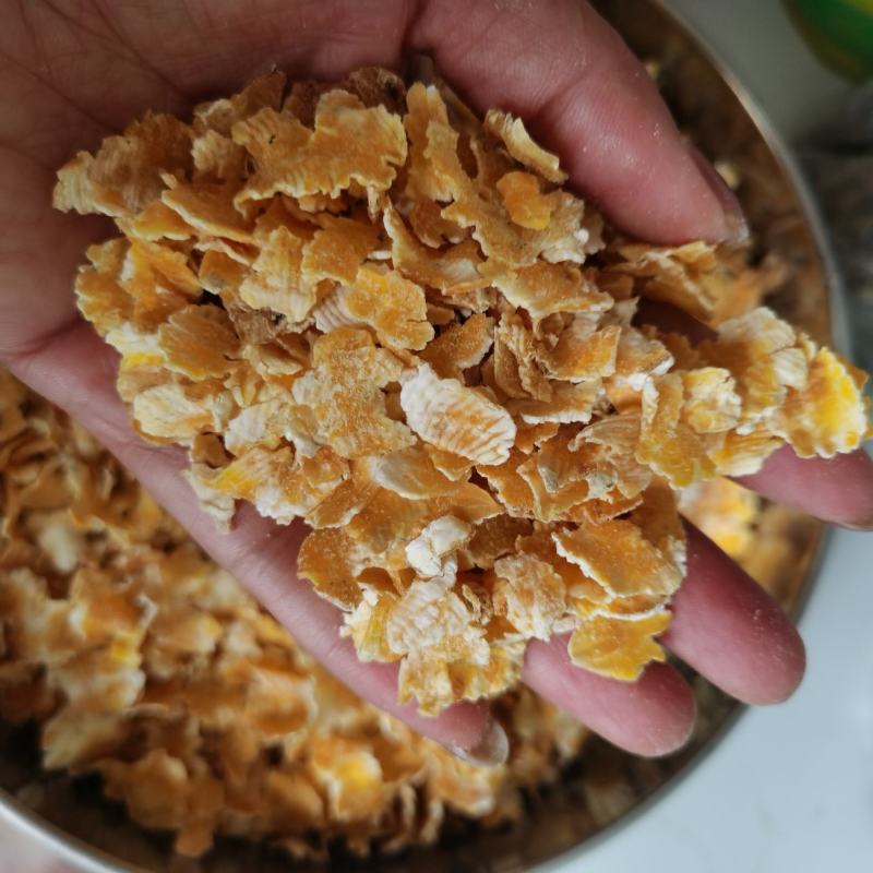 厂家供应优质玉米压片玉米蒸汽压片养殖用饲料级玉米压片