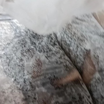生鲜羊肚，河北定州屠宰场批发，量大优